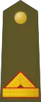 Cabo mayor (Spanish Army)[6]