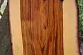 Wood