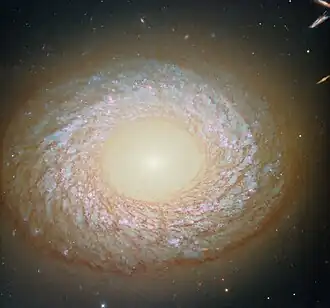 A galaxy seen face-on, with a slightly elliptical disc that appears to have a hole in the centre like a doughnut. In the hole, the core is a brightly glowing point that shines light out beyond the edge of the disc. Around the hole is an inner ring of dust, and at the galaxy’s edge is a thicker outer ring of dust, with a swirling web of dust strands in between. Blue stars and red nebulae are visible behind the dust.
