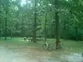 Park in Rogot