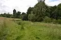 Spring Lane Meadows