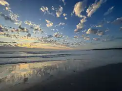 Coastal dune and shoreline at Springfontein Estate