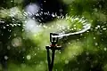 Micro-sprinkler