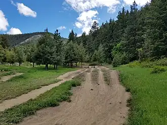 Dirt tracks