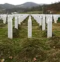 Gravestones (2009)
