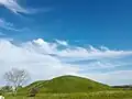 The Leubingen Tumulus