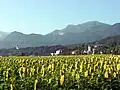 St. Peter's (the district of St. Jakob im Rosental) with mountain in the background