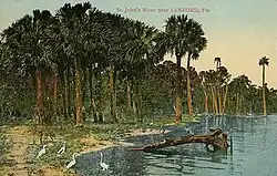 St. Johns River, c. 1910