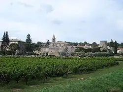 A general view of Saint-Michel-d'Euzet