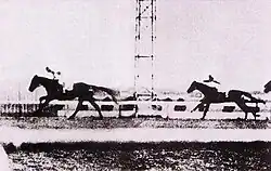 Kikuka Sho