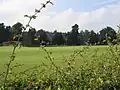 The school from across the sports pitches