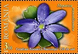 On a 2010 Romanian postage stamp
