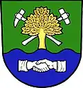 Coat of arms of Stará Ves