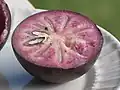 Starapple