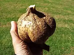 ""