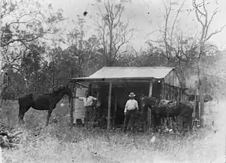 Tending the horses outside the hut, Hawkwood, 1910