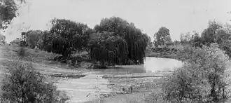 Mount Abundance, circa 1896
