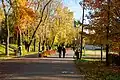 Stawiki in autumn