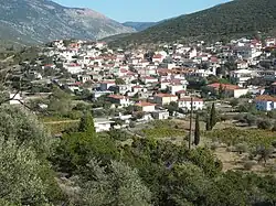 Steiri