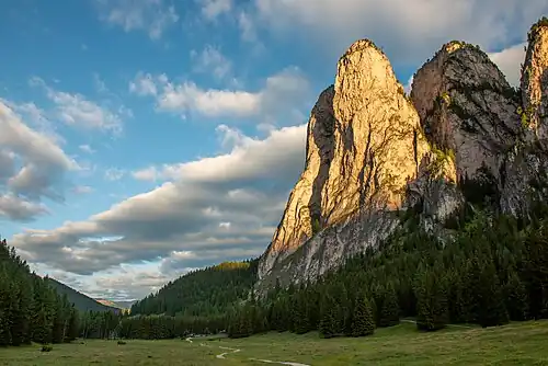 Steviola Tower of the Odles Group