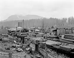 Stockyards and sawmill at Barneston, 1911
