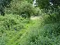 Stoke Park Wood