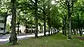 Esplanade along Storagatan