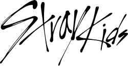 Logo of Stray Kids stylized in black.