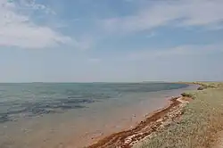 A beach by the Syvash