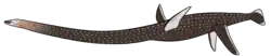Restoration