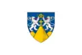 Flag of Suceava County