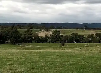 Sugarloaf Creek Ebden Station