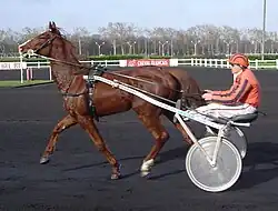a powerful chestnut horse pulling white sulky with jockey