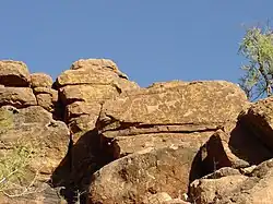 Engravings of animals and people adorn the vertical face of a rock formation.