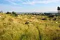 View of Surif