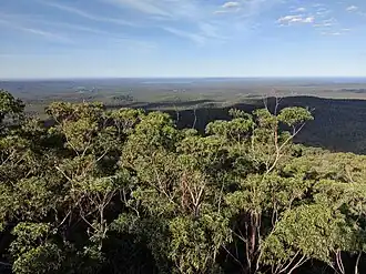 Sussex Inlet from Jerrawangala lookout