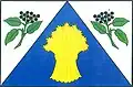 Flag of Svídnice