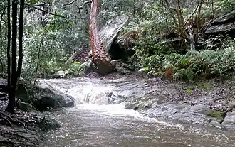 "Old Man's Cave" and Swaines Creek