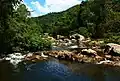 Swasey Branch