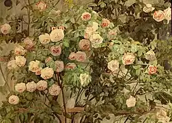 Roses, 1898