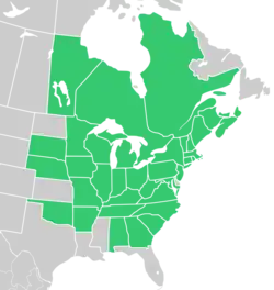Symphyotrichum cordifolium native distribution: Canada — Manitoba, New Brunswick, Nova Scotia, Ontario, Prince Edward Island, and Québec; US — Alabama, Arkansas, Connecticut, District of Columbia, Georgia, Illinois, Indiana, Iowa, Kentucky, Maine, Maryland, Massachusetts, Michigan, Minnesota, Missouri, Nebraska, New Hampshire, New Jersey, New York, North Carolina, Ohio, Oklahoma, Pennsylvania, Rhode Island, South Carolina, South Dakota, Tennessee, Vermont, Virginia, West Virginia, and Wisconsin.