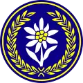 Insignia of the Polish Army 21st Podhale Rifles Brigade.