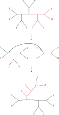 Tree bisection and reconnection (TBR)