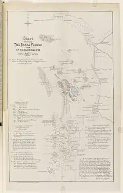 Sir William Crofton Twynam's Chart of the Pearl Banks from his Report on the Ceylon Pearl Fisheries, 1899