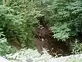 A branch of the Ten Mile Run crossing New Road at Kingsley Park