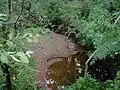 Ten Mile Run crossing New Road