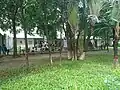 TSC of BMU.