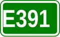 E391 shield