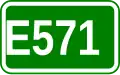 E571 shield