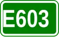 E603 shield